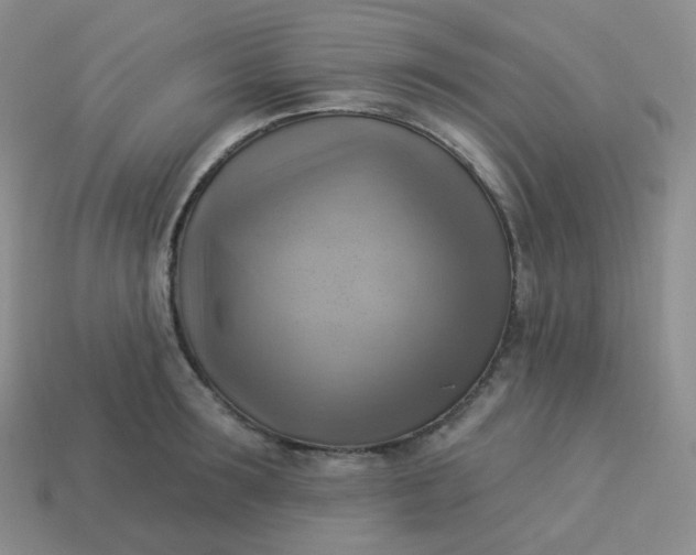 X0000114020899200910161754