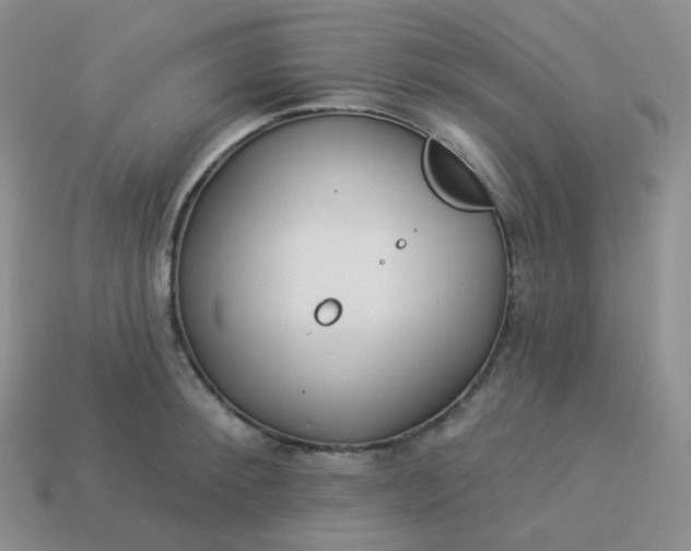 X0000114020900200910161754