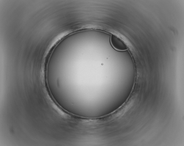 X0000114020902200910161754