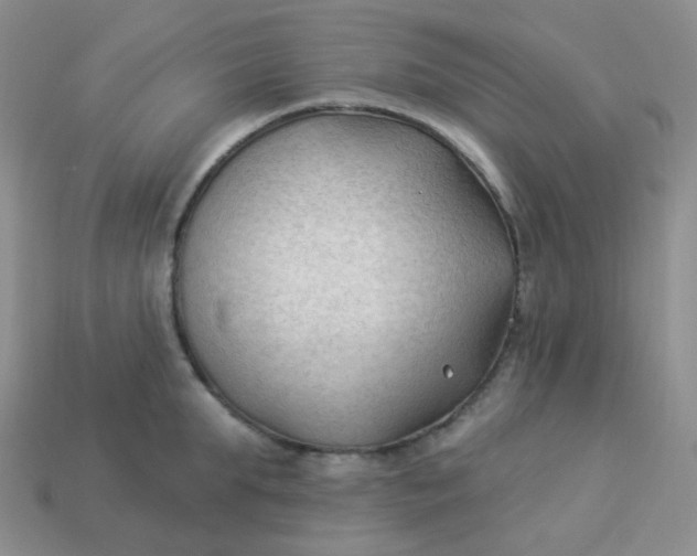 X0000114020903200910161754