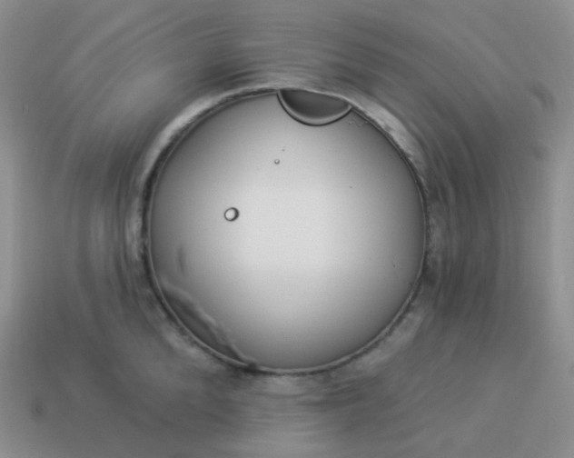 X0000114020904200910161754