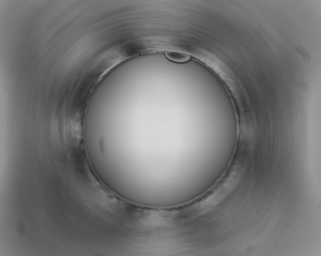 X0000114020905200910161754