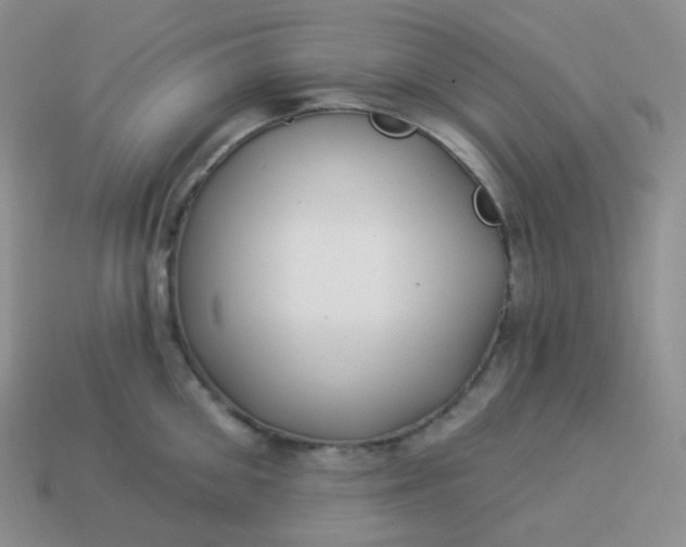 X0000114020906200910161754