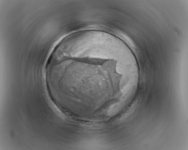 X0000114020907200910161754