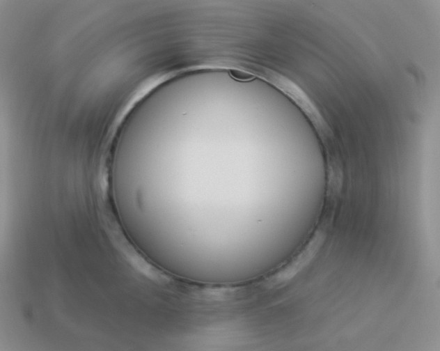 X0000114020908200910161754