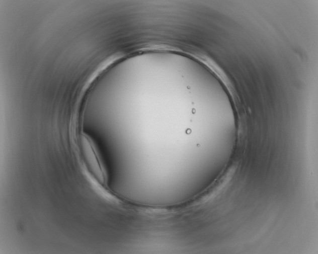 X0000114020909200910161754