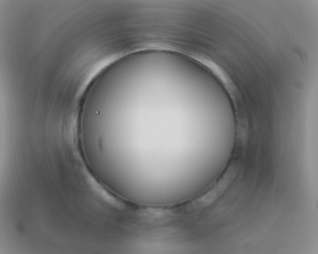 X0000114020910200910161753