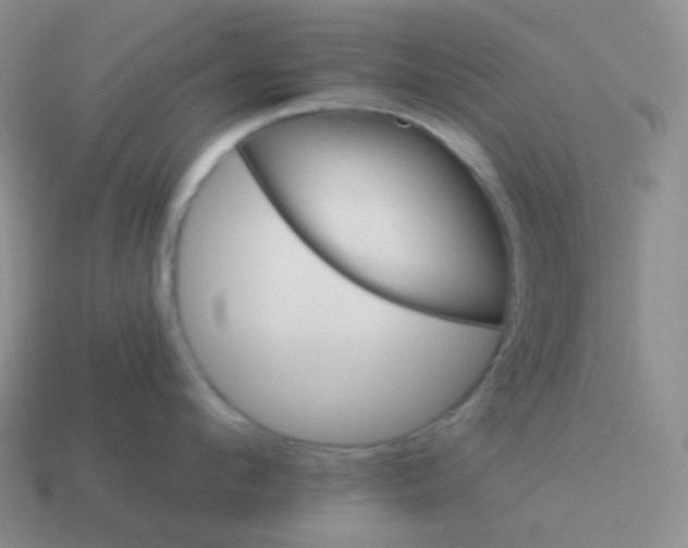 X0000114020912200910161753