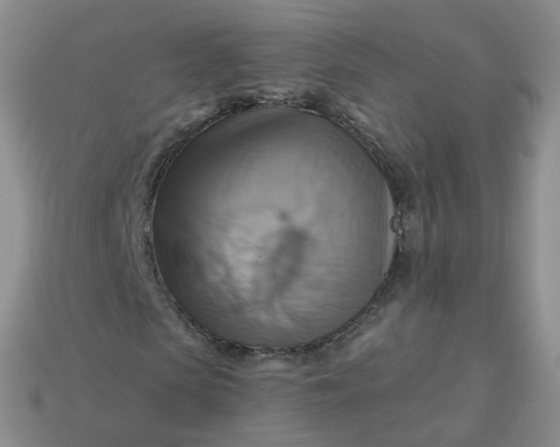 X0000114020913200910161753