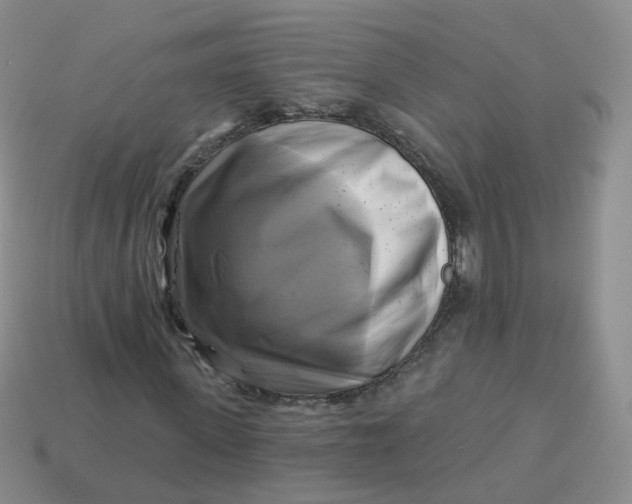 X0000114020915200910161753