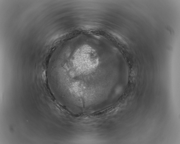 X0000114020917200910161753