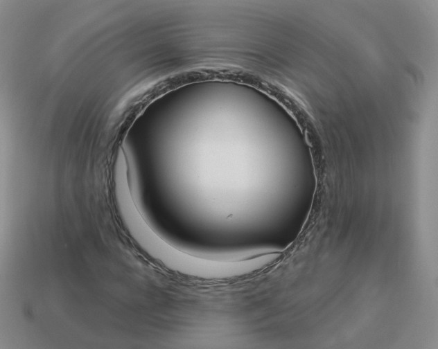 X0000114020920200910161753