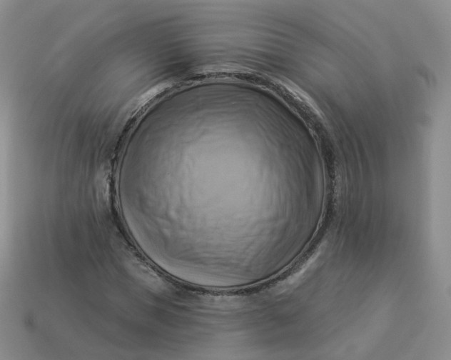 X0000114020921200910161753