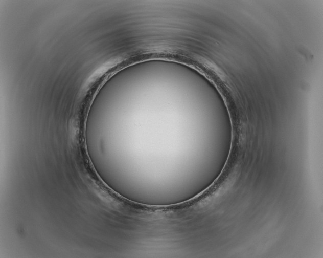 X0000114020922200910161753