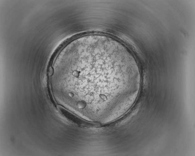 X0000114020924200910161753