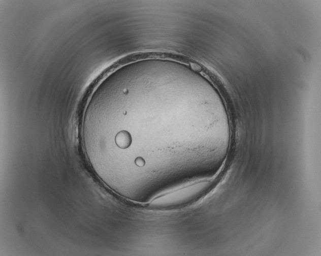 X0000114020925200910161753