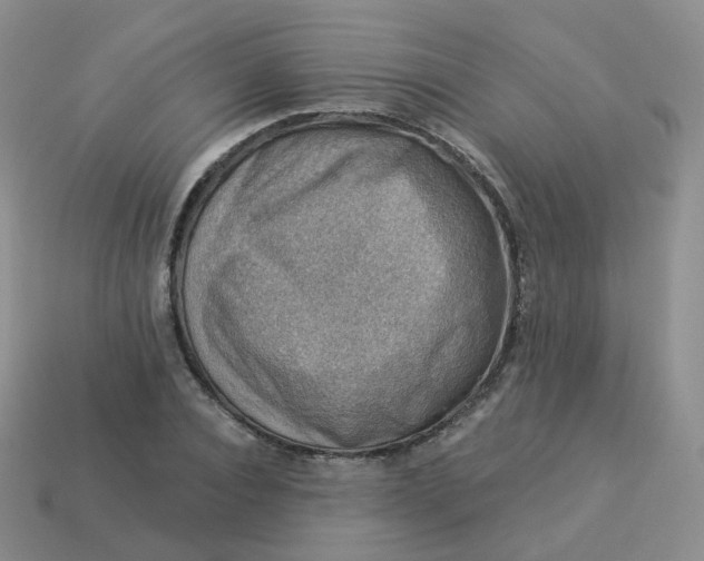 X0000114020928200910161753