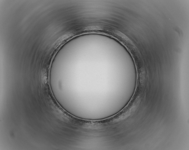 X0000114020929200910161753