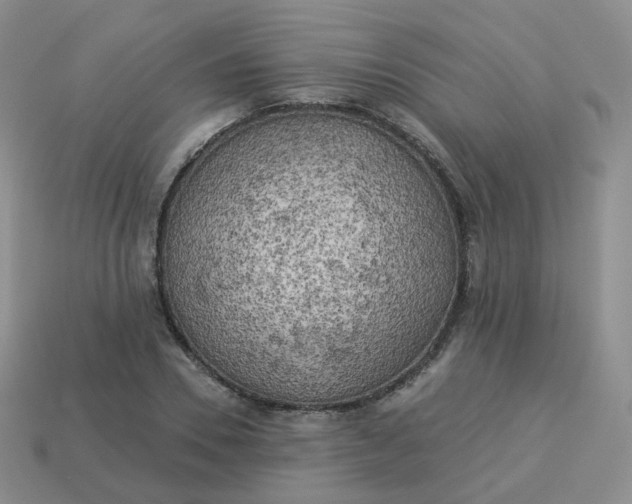 X0000114020930200910161753