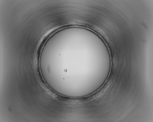 X0000114020931200910161753