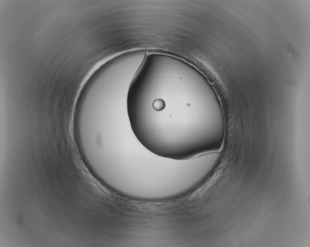 X0000114020932200910161753