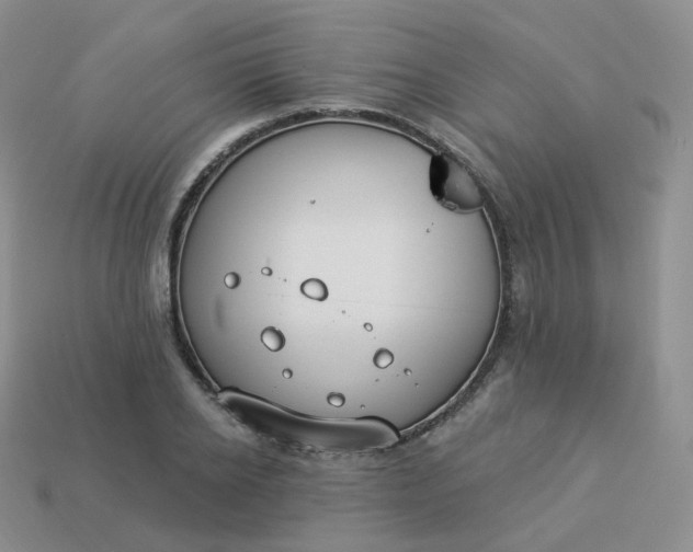 X0000114020934200910161753