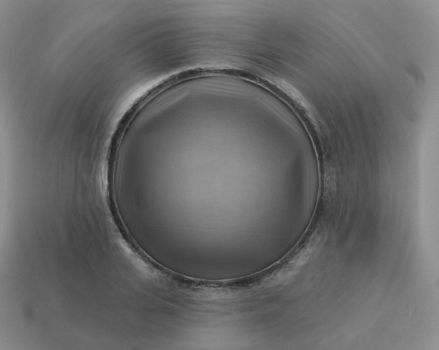 X0000114020935200910161753