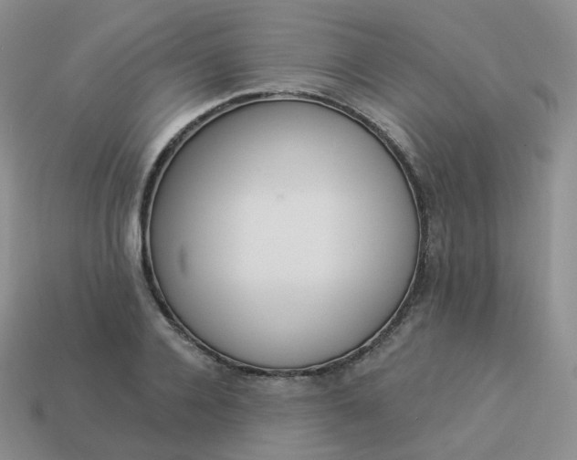 X0000114020936200910161753