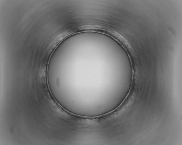 X0000114020937200910161753