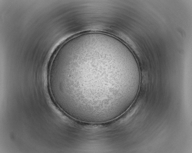 X0000114020939200910161753