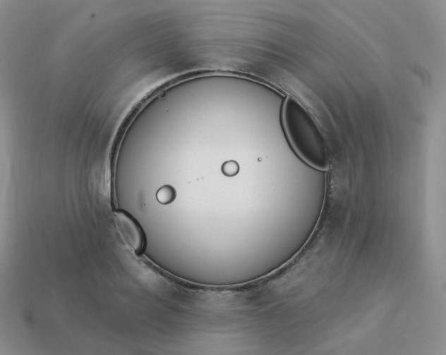 X0000114020940200910161753