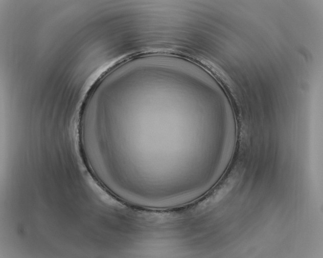 X0000114020941200910161753