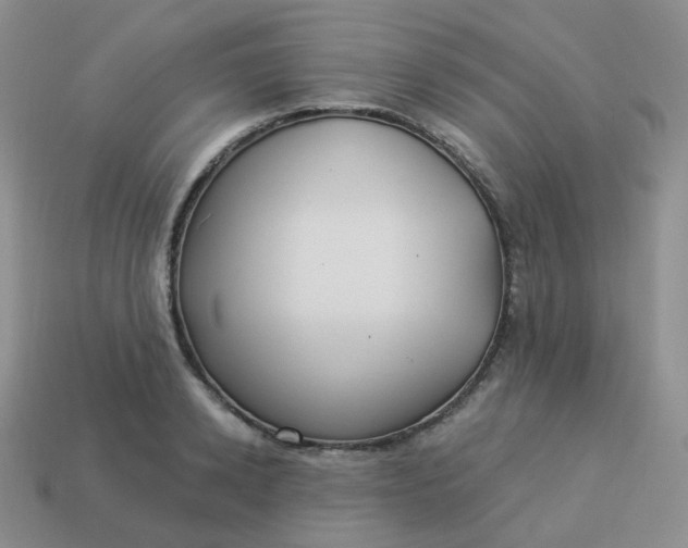 X0000114020942200910161753