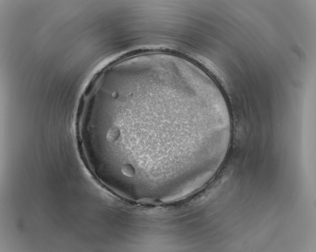 X0000114020943200910161753