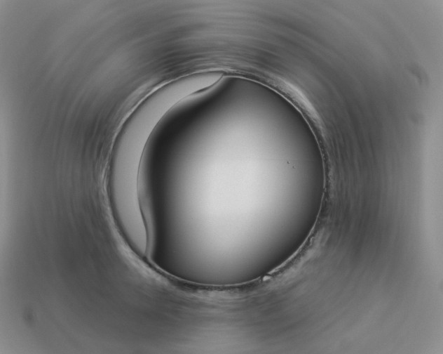 X0000114020946200910161753