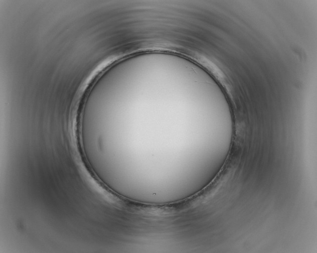 X0000114020947200910161753