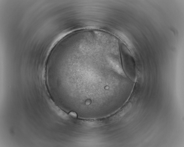 X0000114020948200910161753