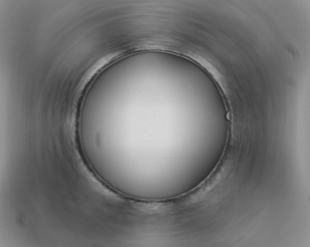 X0000114020949200910161753