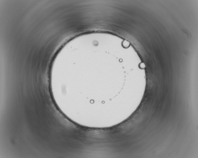 X0000114020950200910161753