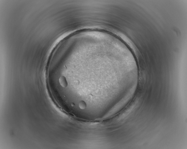 X0000114020951200910161753