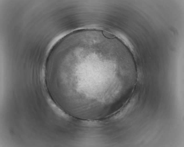 X0000114020952200910161753