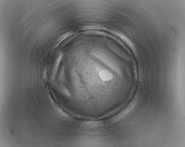 X0000114020953200910161753