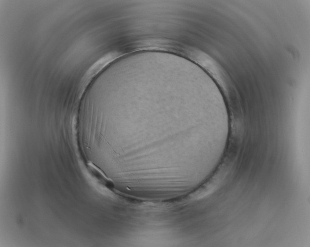 X0000114020954200910161753