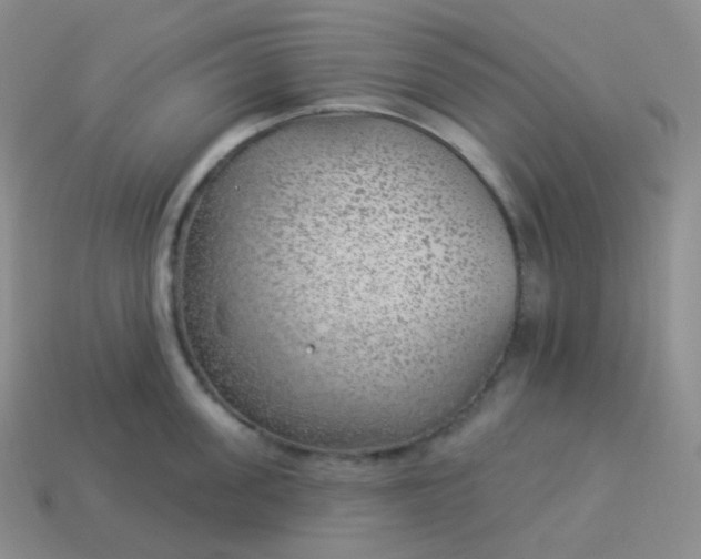 X0000114020955200910161753