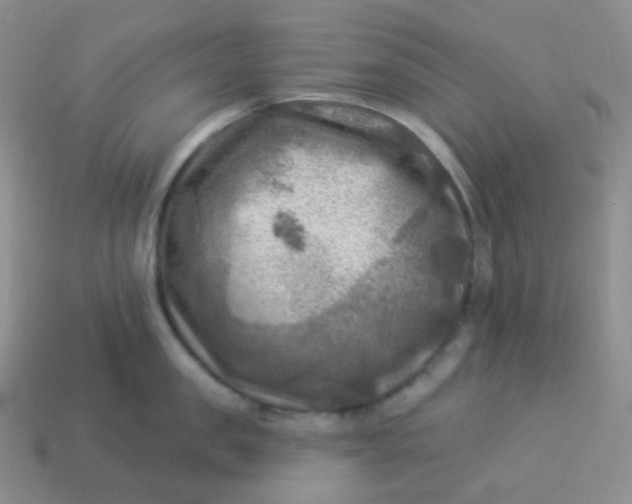 X0000114020957200910161753