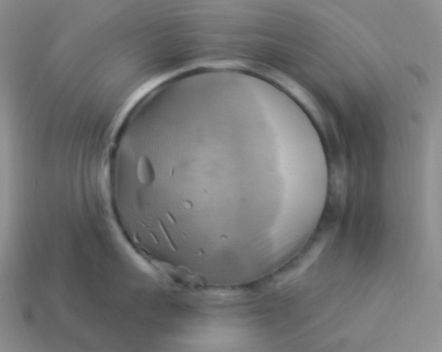 X0000114020959200910161753