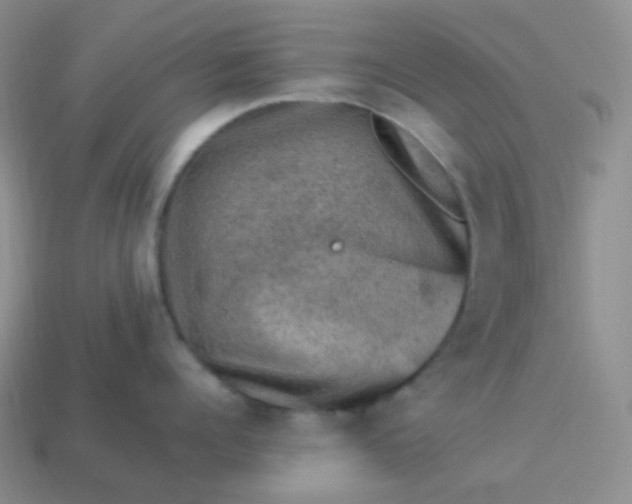 X0000114020960200910161753