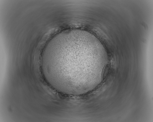 X0000114020961200910161753