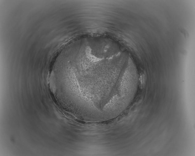 X0000114020963200910161753