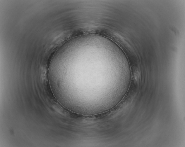 X0000114020964200910161753